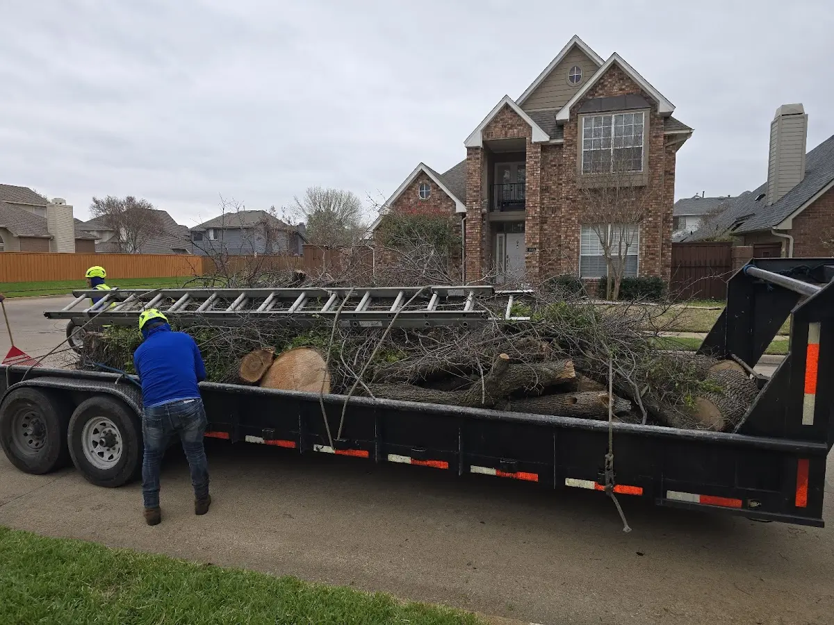 Expert Crown Reduction with proper safety equipment in Aurora